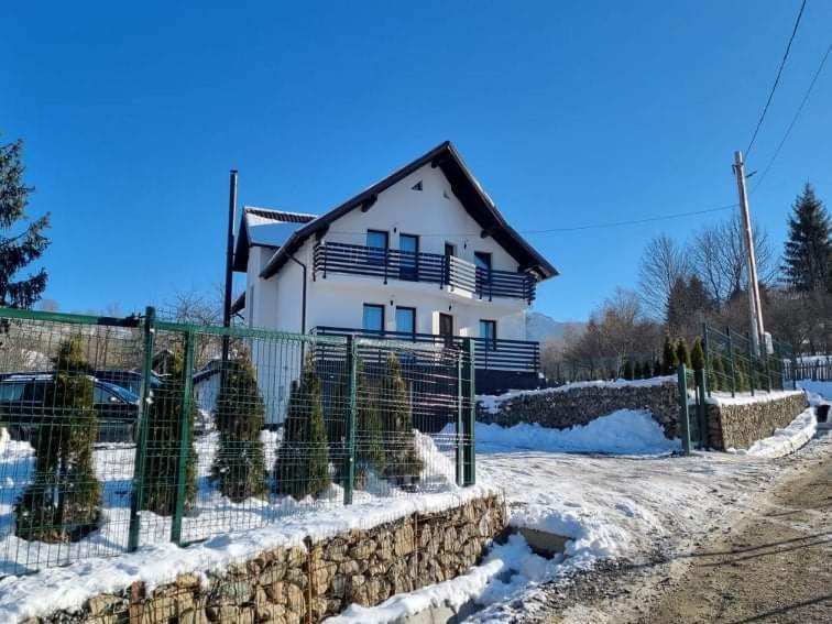 Transylvania House Borsa  Exterior photo